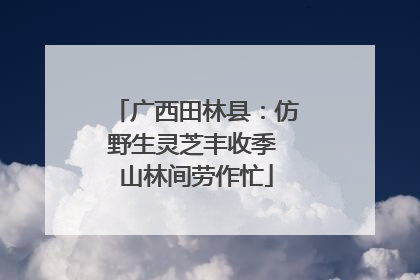 广西田林县：仿野生灵芝丰收季 山林间劳作忙