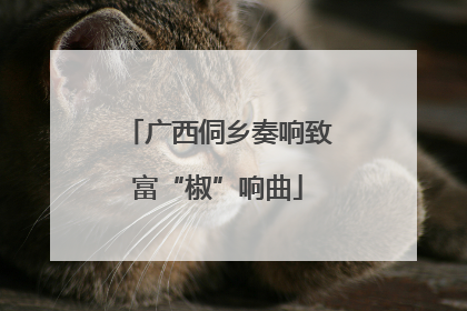 广西侗乡奏响致富“椒”响曲
