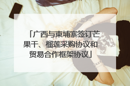 广西与柬埔寨签订芒果干、榴莲采购协议和贸易合作框架协议