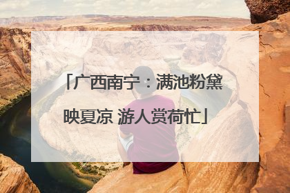 广西南宁:满池粉黛映夏凉 游人赏荷忙