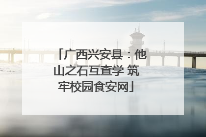 广西兴安县：他山之石互查学 筑牢校园食安网