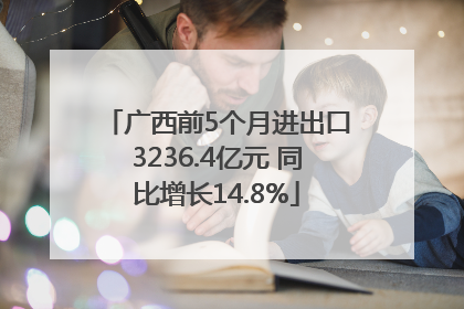 广西前5个月进出口3236.4亿元 同比增长14.8%