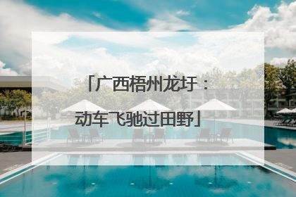 广西梧州龙圩：动车飞驰过田野