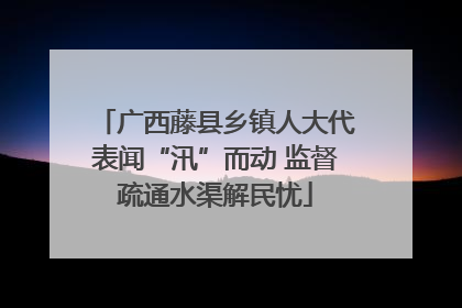 广西藤县乡镇人大代表闻“汛”而动 监督疏通水渠解民忧