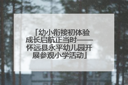 幼小衔接初体验 成长启航正当时——怀远县永平幼儿园开展参观小学活动