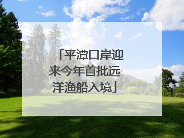 平潭口岸迎来今年首批远洋渔船入境