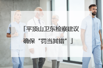 平顶山卫东检察建议确保“罚当其错”