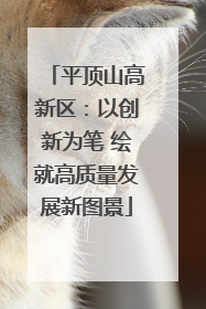 平顶山高新区：以创新为笔 绘就高质量发展新图景