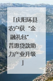 庆阳环县农户获“金融礼包” 普惠贷款助力产业升级