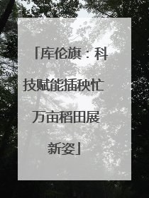 库伦旗：科技赋能插秧忙 万亩稻田展新姿