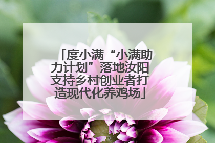 度小满“小满助力计划”落地汝阳支持乡村创业者打造现代化养鸡场
