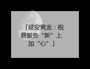 延安黄龙：税费服务“新”上加“心”