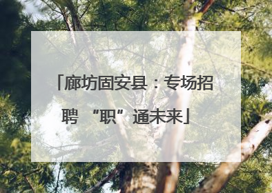 廊坊固安县：专场招聘 “职”通未来