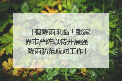 强降雨来临！张家界市严阵以待开展强降雨防范应对工作