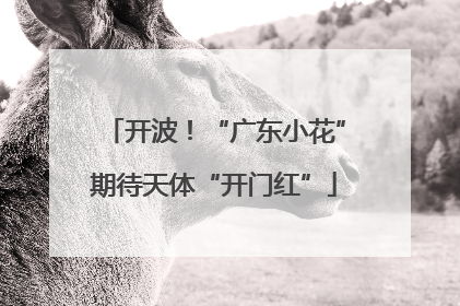 开波！“广东小花”期待天体“开门红”