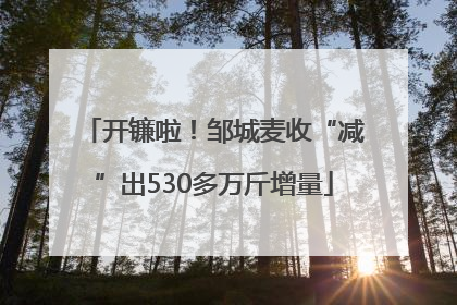 开镰啦！邹城麦收“减”出530多万斤增量