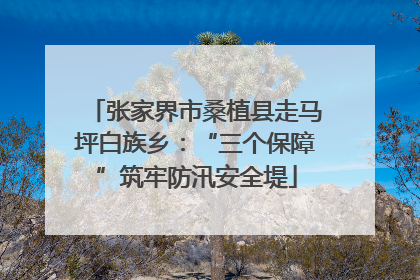 张家界市桑植县走马坪白族乡：“三个保障”筑牢防汛安全堤