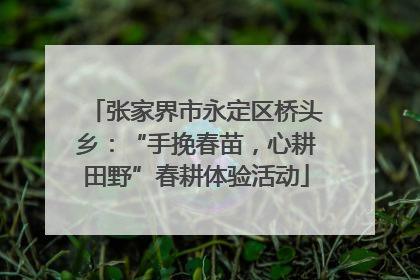 张家界市永定区桥头乡：“手挽春苗，心耕田野”春耕体验活动