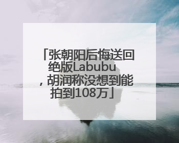张朝阳后悔送回绝版Labubu，胡润称没想到能拍到108万