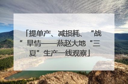 提单产、减损耗、“战”旱情——燕赵大地“三夏”生产一线观察