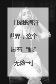 探秘海洋世界，这个展有“鲸”无险→