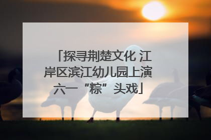探寻荆楚文化 江岸区滨江幼儿园上演六一“粽”头戏