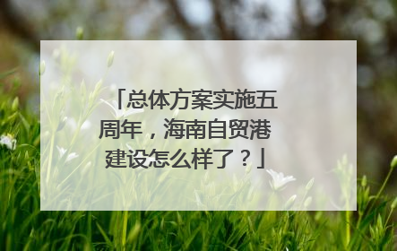 总体方案实施五周年，海南自贸港建设怎么样了？