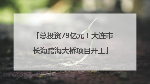总投资79亿元！大连市长海跨海大桥项目开工