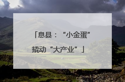 息县：“小金蛋”撬动“大产业”