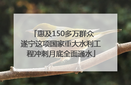 惠及150多万群众 遂宁这项国家重大水利工程冲刺月底全面通水
