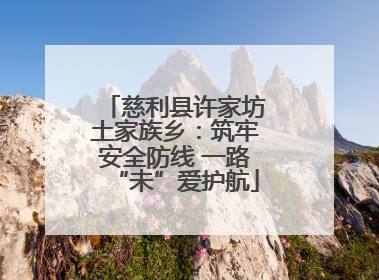 慈利县许家坊土家族乡：筑牢安全防线 一路“未”爱护航