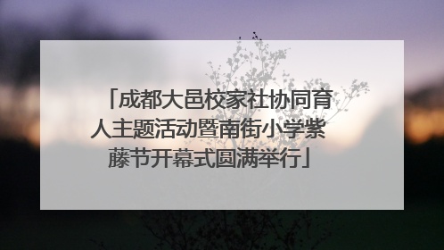 成都大邑校家社协同育人主题活动暨南街小学紫藤节开幕式圆满举行