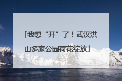 我想“开”了！武汉洪山多家公园荷花绽放