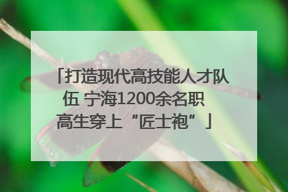 打造现代高技能人才队伍 宁海1200余名职高生穿上“匠士袍”
