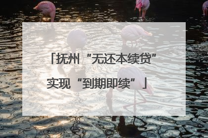 抚州“无还本续贷”实现“到期即续”
