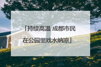 持续高温 成都市民在公园里戏水纳凉