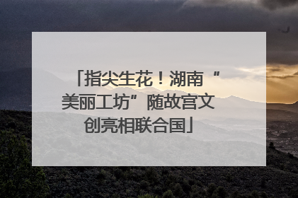 指尖生花！湖南“美丽工坊”随故宫文创亮相联合国