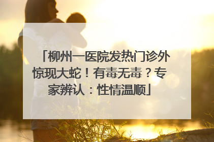 柳州一医院发热门诊外惊现大蛇！有毒无毒？专家辨认：性情温顺