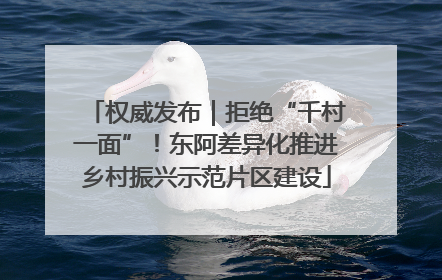 权威发布｜拒绝“千村一面”！东阿差异化推进乡村振兴示范片区建设
