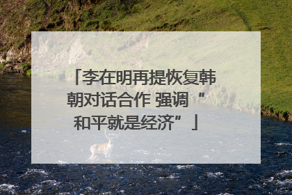 李在明再提恢复韩朝对话合作 强调“和平就是经济”