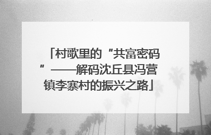 村歌里的“共富密码”——解码沈丘县冯营镇李寨村的振兴之路