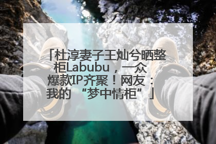 杜淳妻子王灿兮晒整柜Labubu，一众爆款IP齐聚！网友：我的 “梦中情柜”