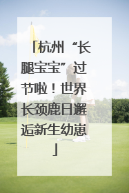 杭州“长腿宝宝”过节啦！世界长颈鹿日邂逅新生幼崽