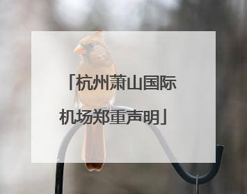 杭州萧山国际机场郑重声明
