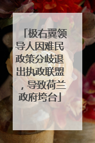 极右翼领导人因难民政策分歧退出执政联盟，导致荷兰政府垮台
