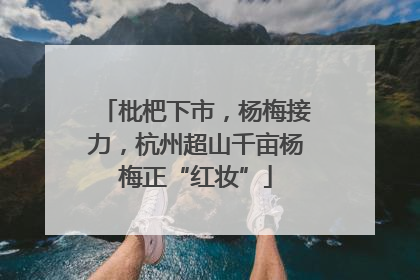 枇杷下市，杨梅接力，杭州超山千亩杨梅正“红妆”