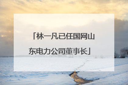 林一凡已任国网山东电力公司董事长