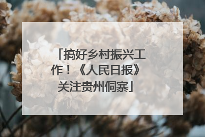 搞好乡村振兴工作！《人民日报》关注贵州侗寨