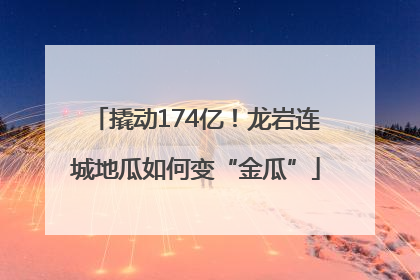 撬动174亿！龙岩连城地瓜如何变“金瓜”