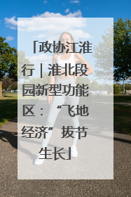 政协江淮行｜淮北段园新型功能区：“飞地经济”拔节生长